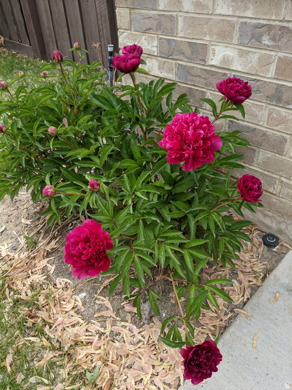 442 W 2540 N Lehi, UT 84043