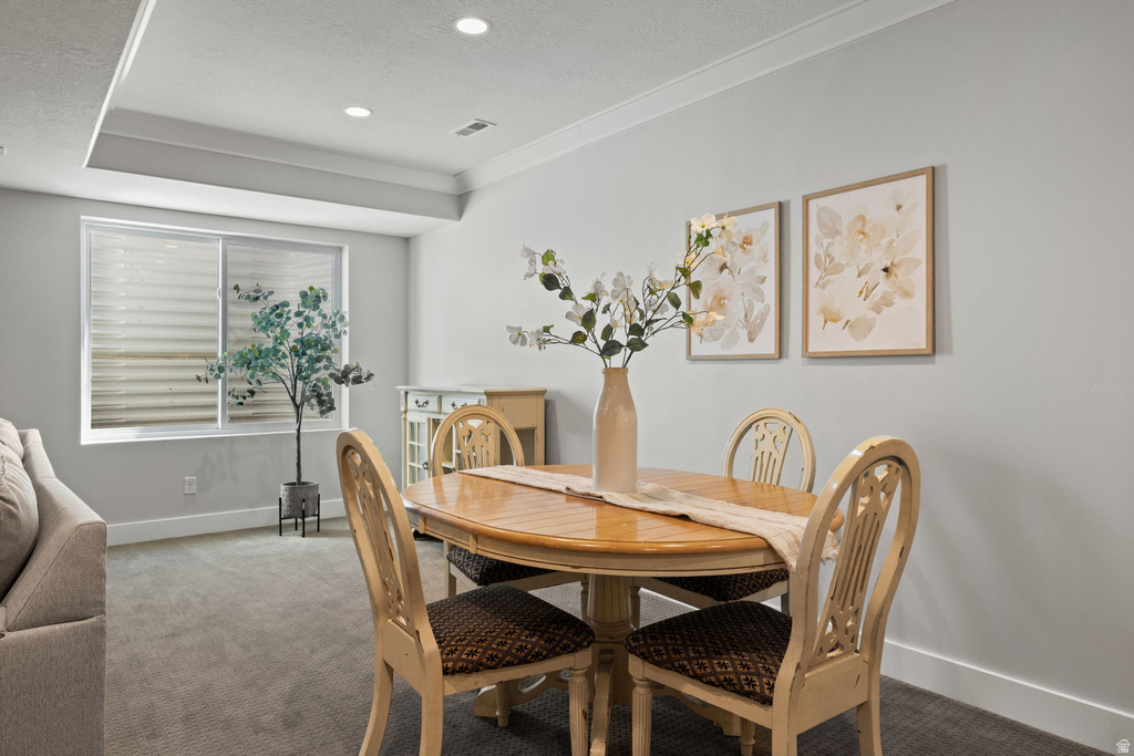 4584 N LA RINGHIERA DR Lehi, UT 84048