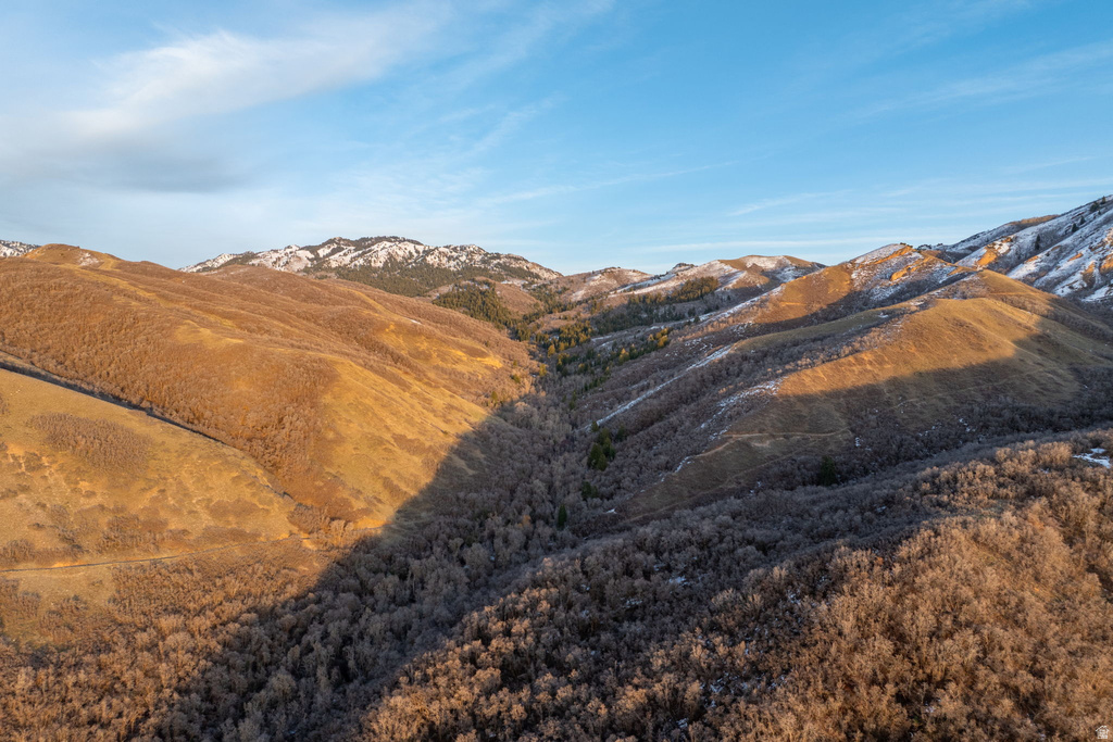 993 E CANYON CREEK Bountiful, UT 84010