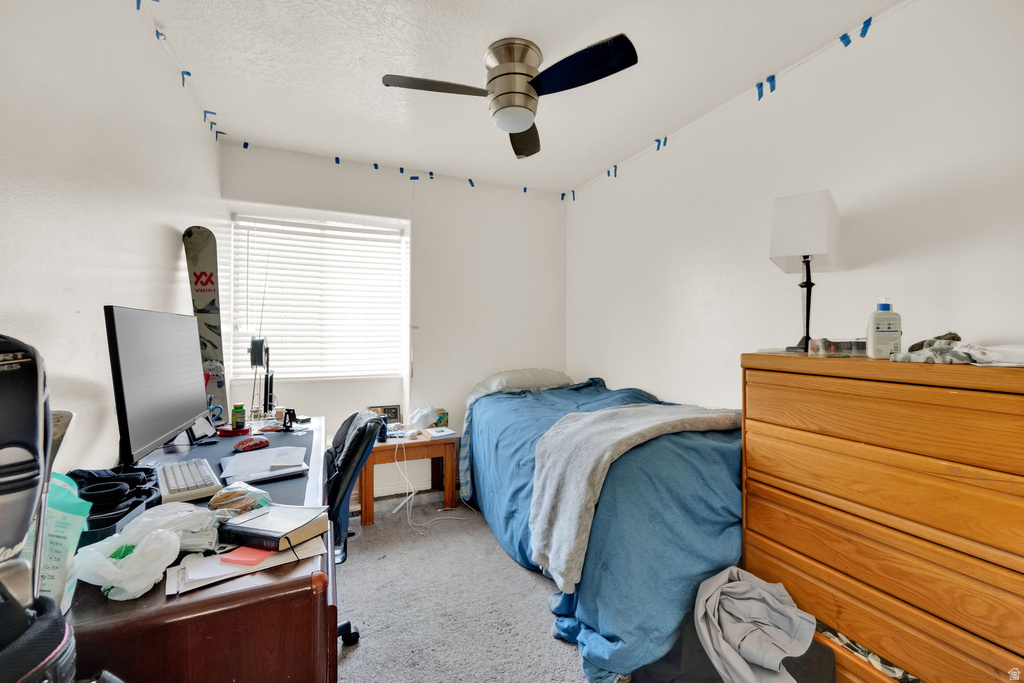 223 W 2230 N #14 Provo, UT 84604