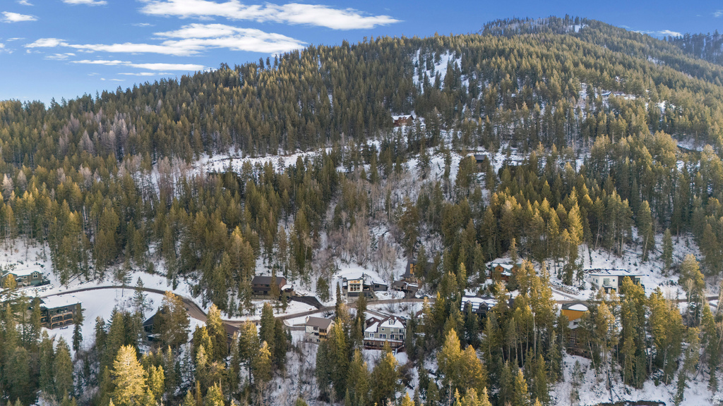 200 MATTERHORN DR Park City, UT 84098