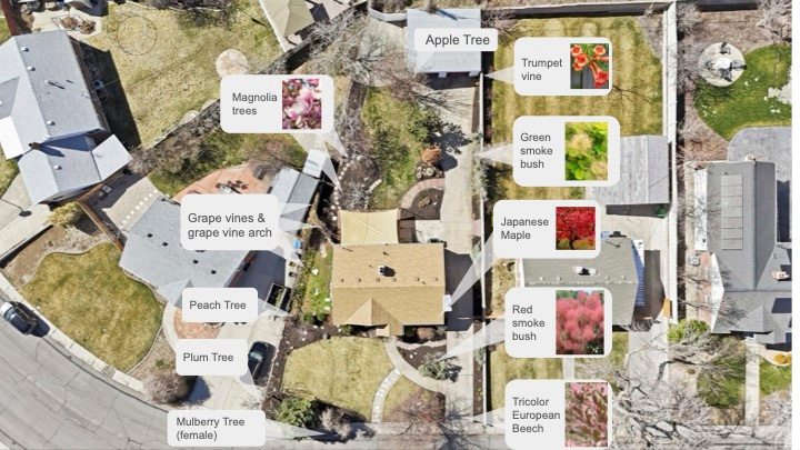 2856 S LAKEVIEW DR Millcreek, UT 84109