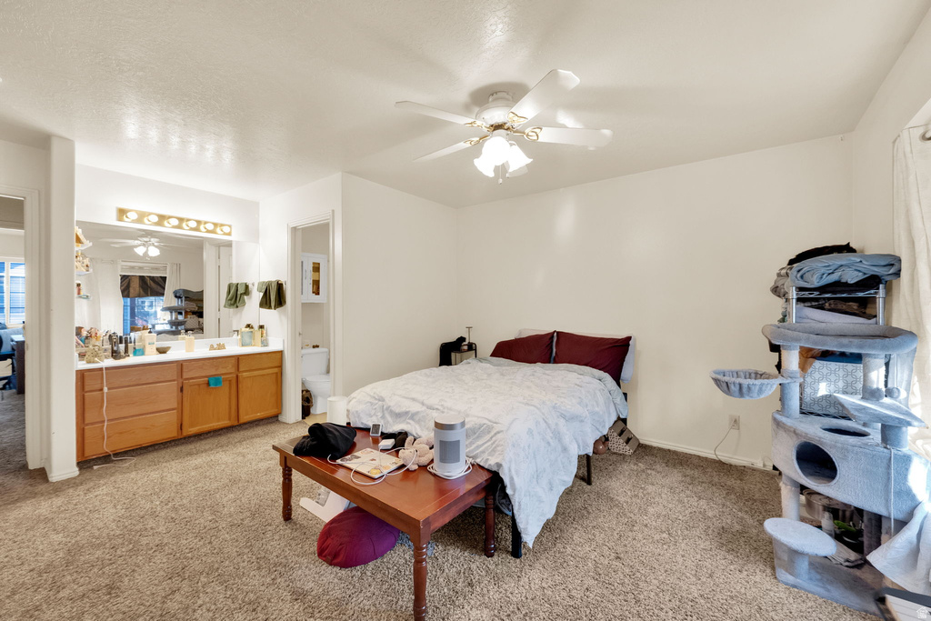 241 W 2230 N #16 Provo, UT 84604