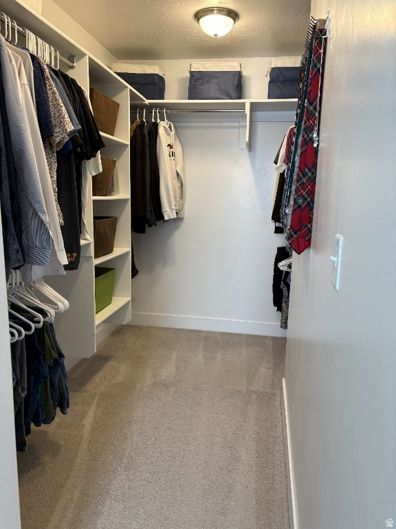 4771 N MT NEBO DR Eagle Mountain, UT 84005