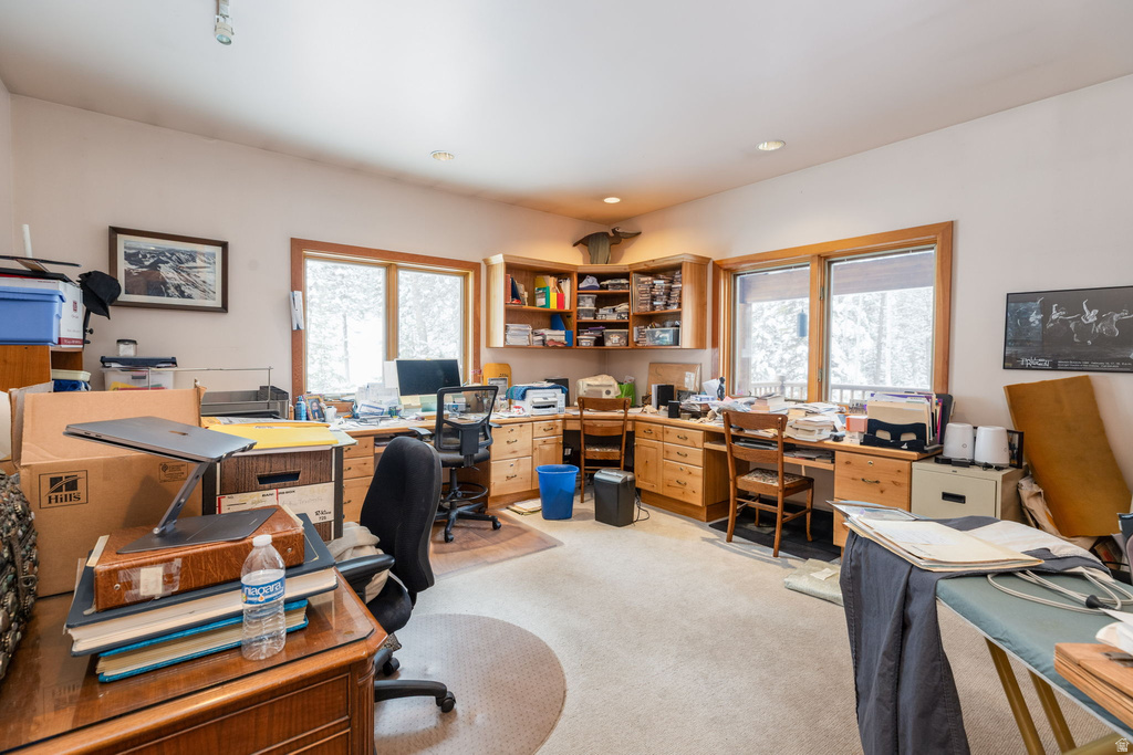 9443 E WILD CLEMATIS LN Brighton, UT 84121