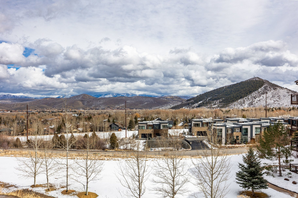 4338 WILLOW DRAW RD #1103 Park City, UT 84098