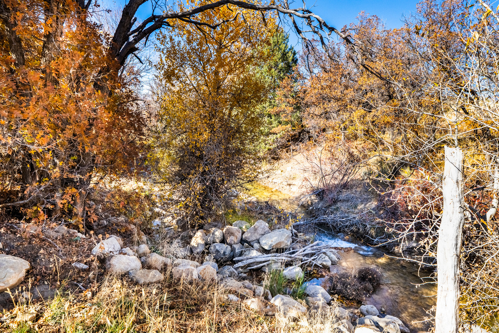 11695 E 18500 N Mt Pleasant, UT 84647