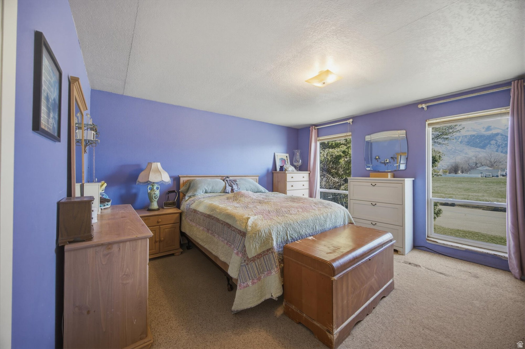 1877 W 1100 N Pleasant Grove, UT 84062