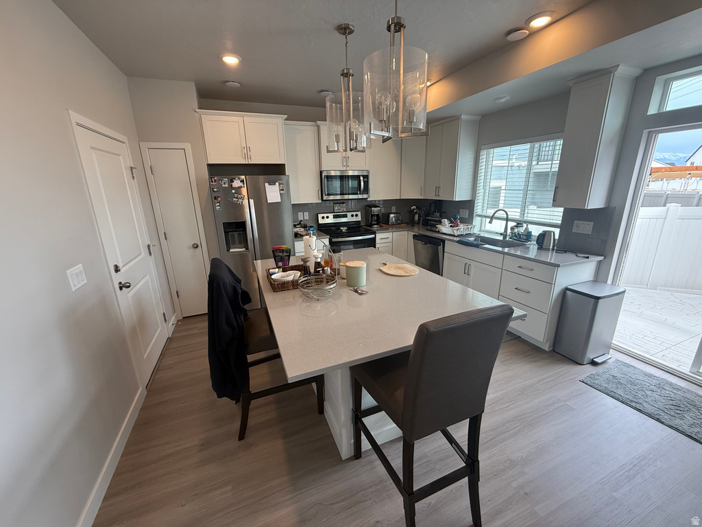 41 E BRUSHY CANYON ST Saratoga Springs, UT 84045