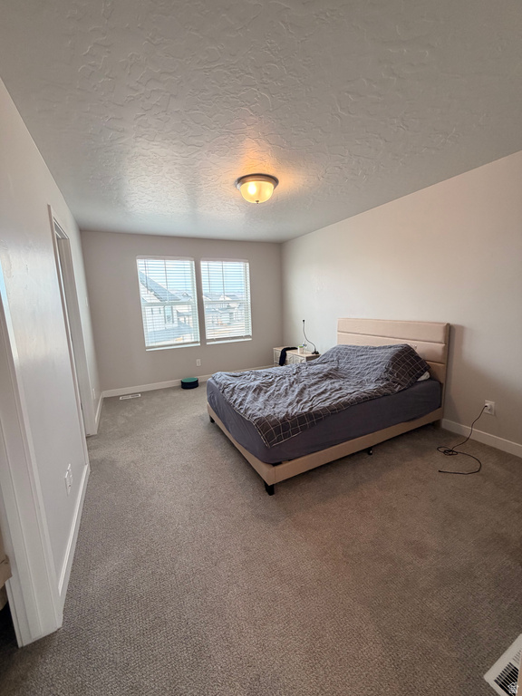 41 E BRUSHY CANYON ST Saratoga Springs, UT 84045