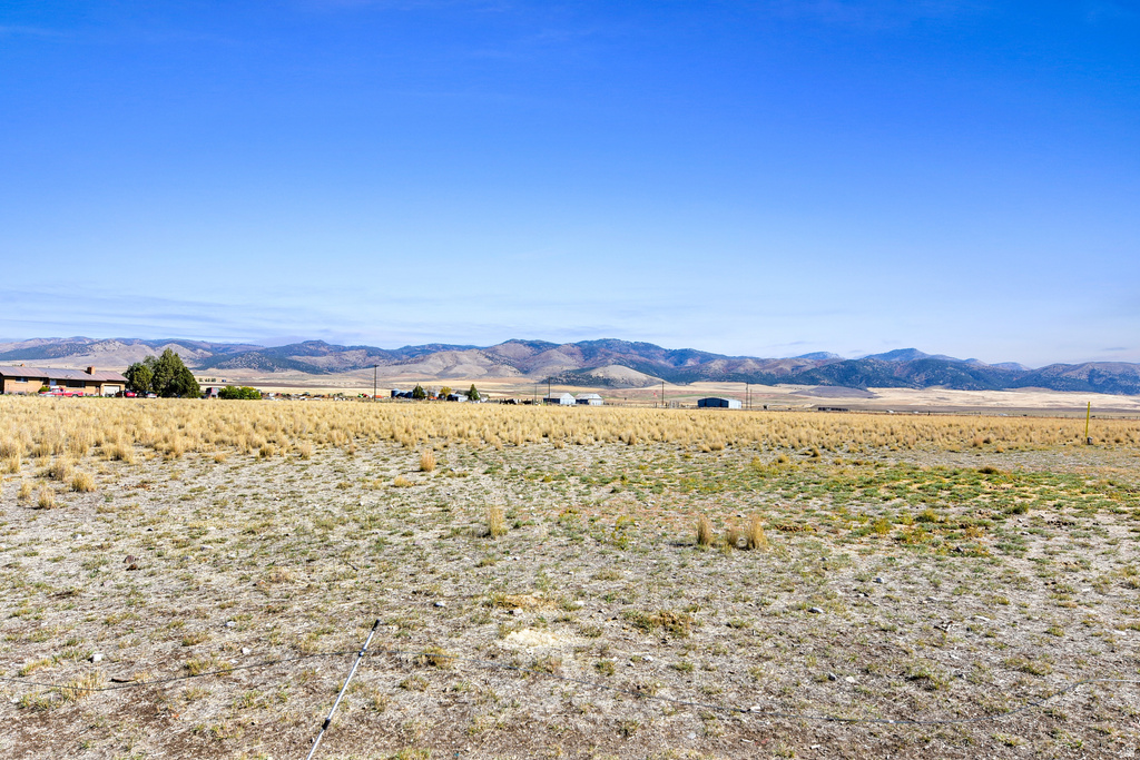 23274 S 8TH ST Downey, ID 83234