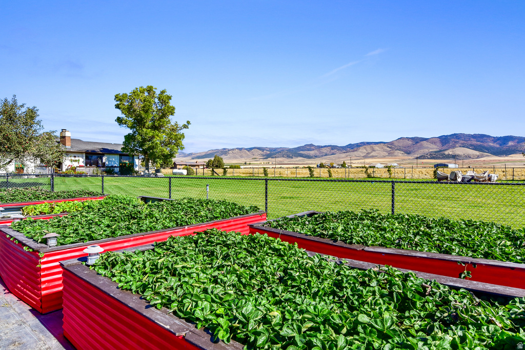 23274 S 8TH ST Downey, ID 83234