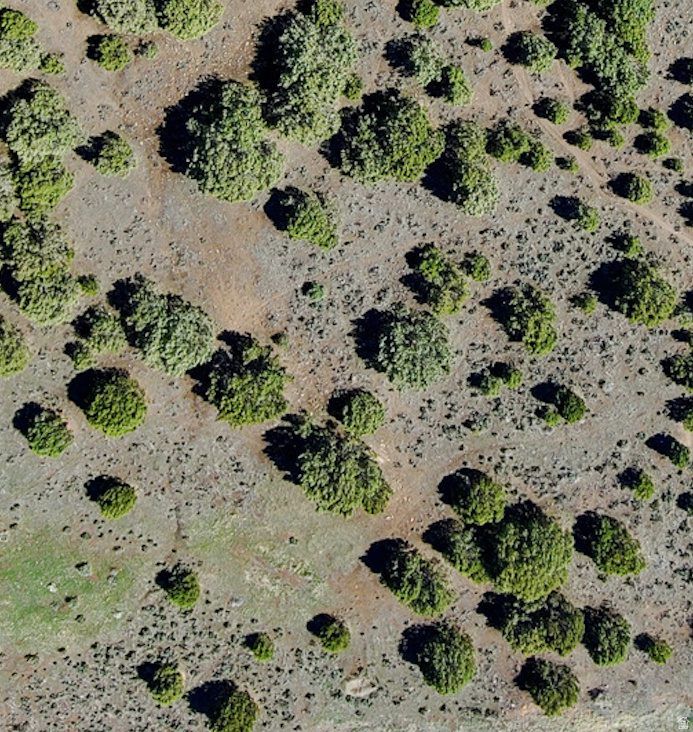 295 N IBAPAH PEAK DR Heber City, UT 84032