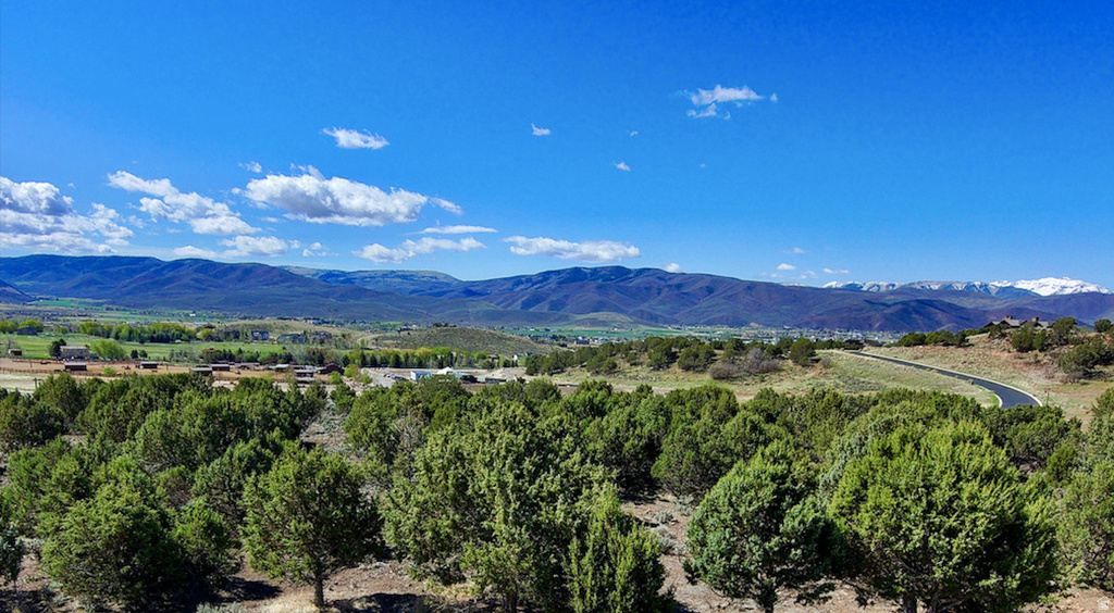 295 N IBAPAH PEAK DR Heber City, UT 84032