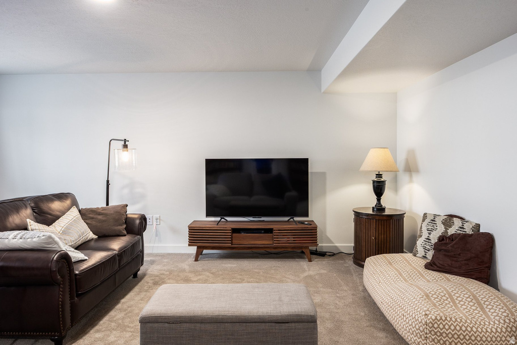 3664 S 5400 W #13 Hooper, UT 84315