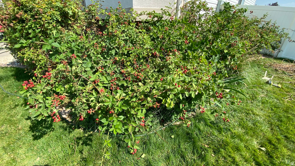 4641 W 5675 S Hooper, UT 84315