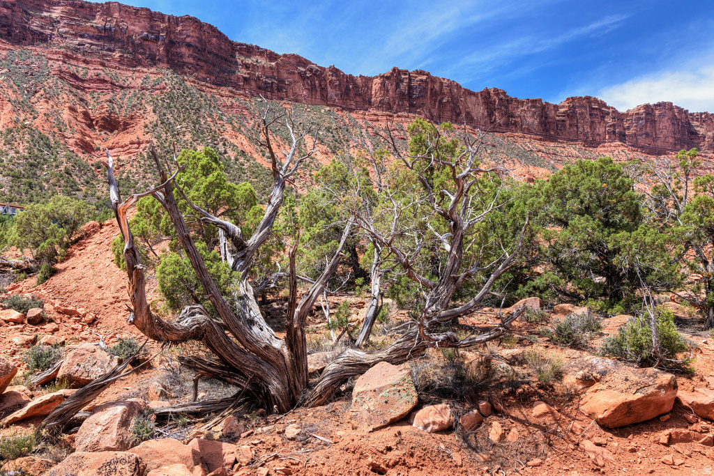 262  POPE LN Castle Valley, UT 84532