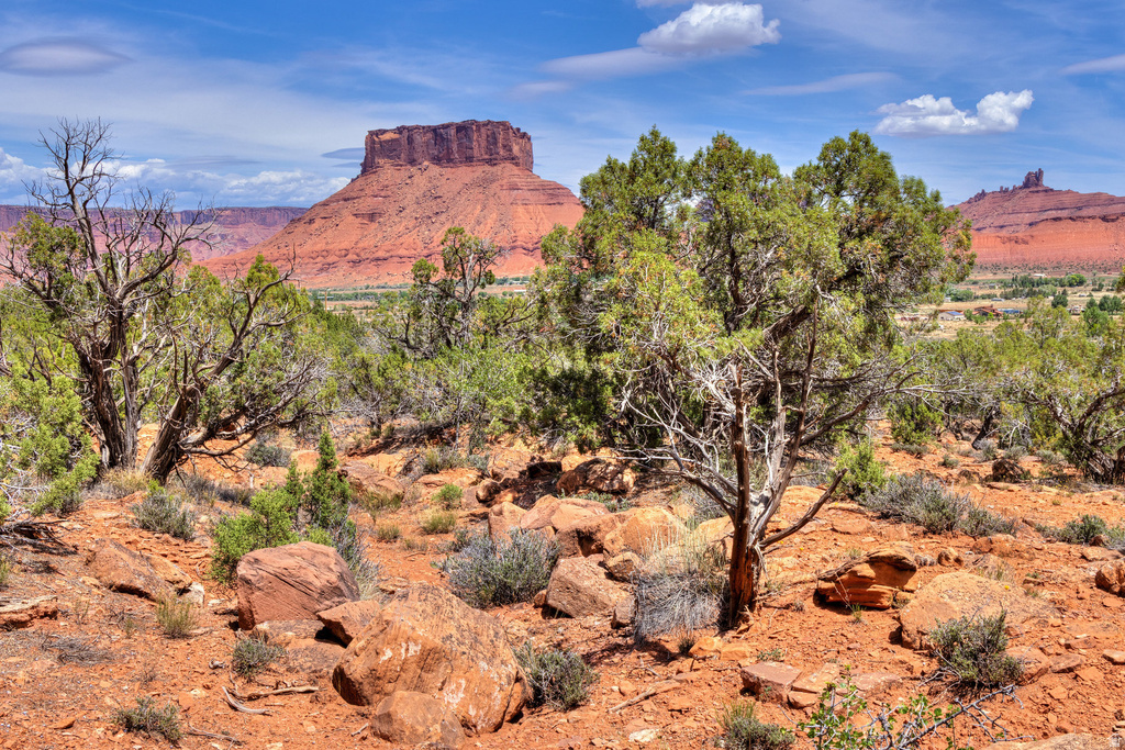 262  POPE LN Castle Valley, UT 84532