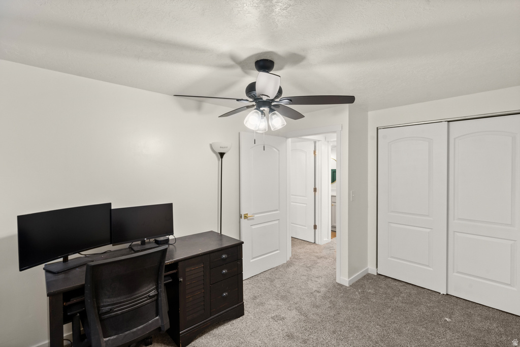 206 W 300 S Willard, UT 84340