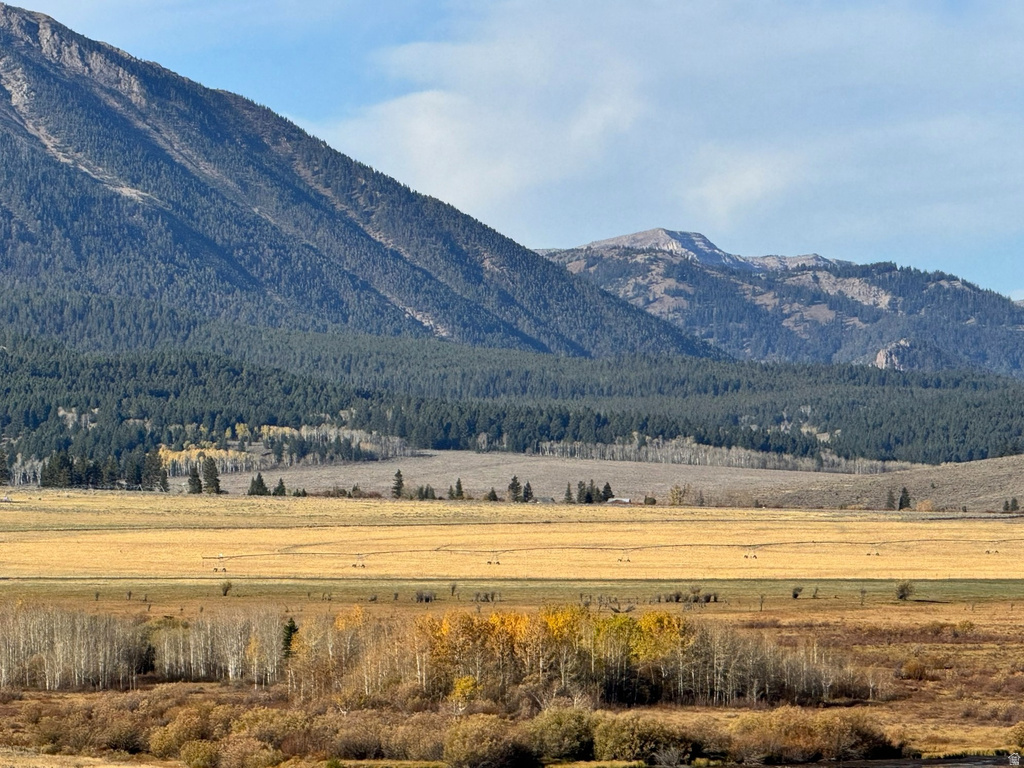 3600 W RED ROCK PASS RD Island Park, ID 83429