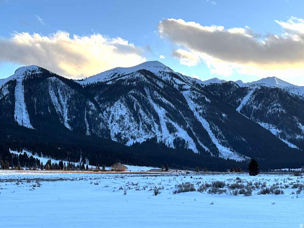 3600 W RED ROCK PASS RD Island Park, ID 83429