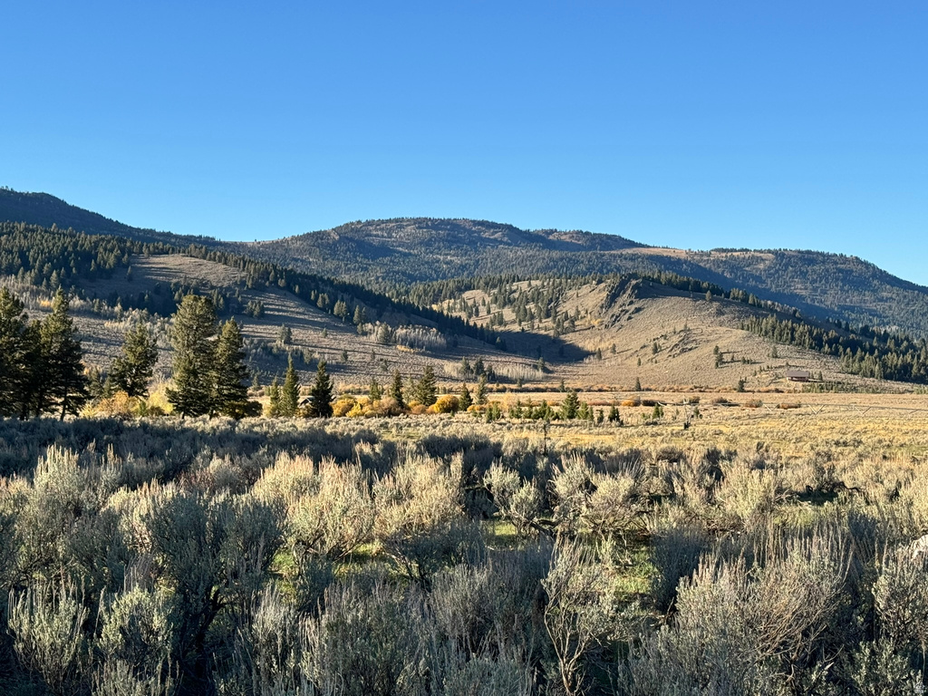 3600 W RED ROCK PASS RD Island Park, ID 83429