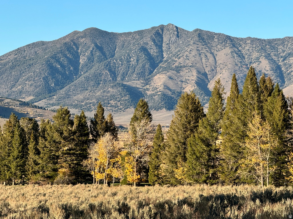 3600 W RED ROCK PASS RD Island Park, ID 83429