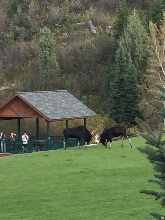 3321 W BIG SRUCE WAY #E54 Park City, UT 84098