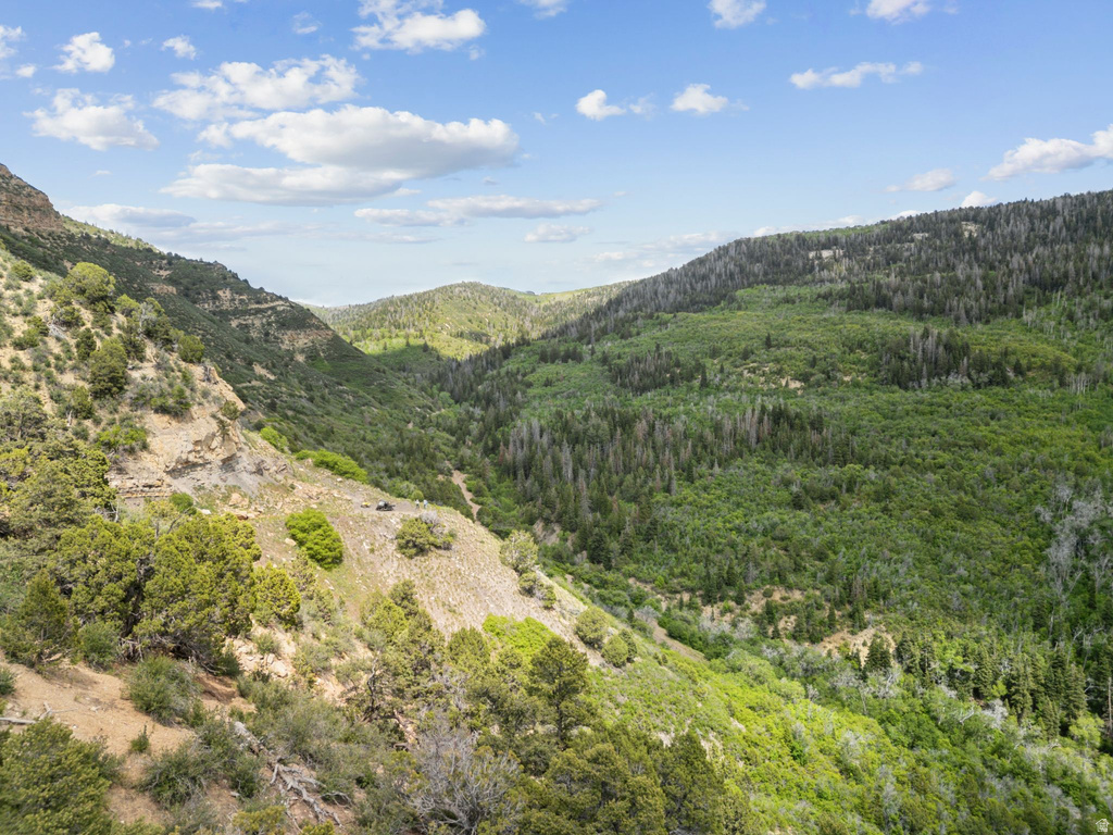 11680 E 29130 N Fairview, UT 84629