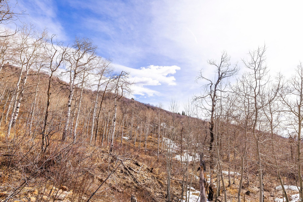 10516  BASIN CANYON RD Park City, UT 84098