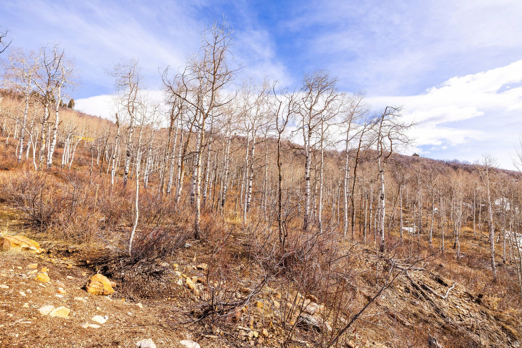 10516  BASIN CANYON RD Park City, UT 84098