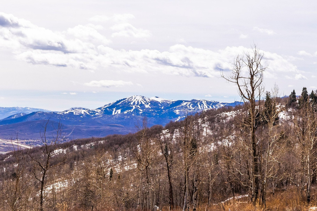 10516  BASIN CANYON RD Park City, UT 84098