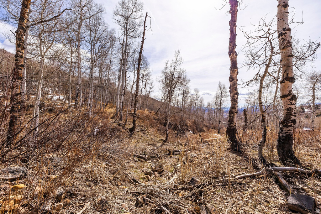 10516  BASIN CANYON RD Park City, UT 84098