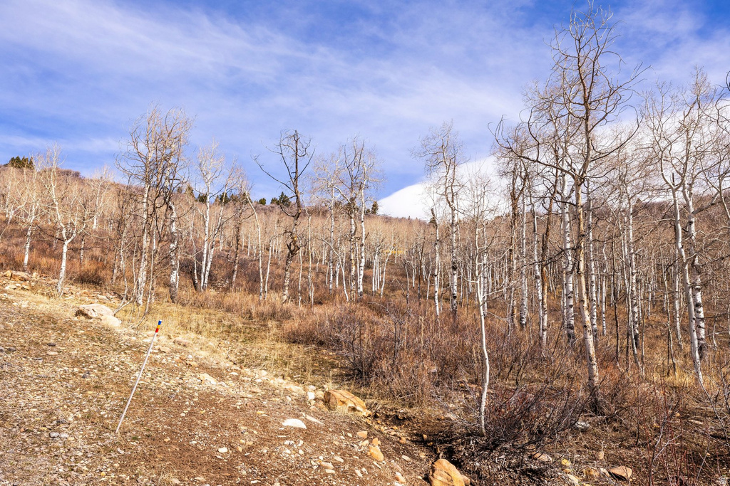 10516  BASIN CANYON RD Park City, UT 84098