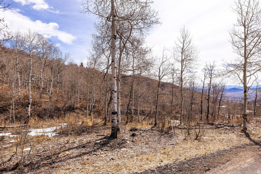 10516  BASIN CANYON RD Park City, UT 84098