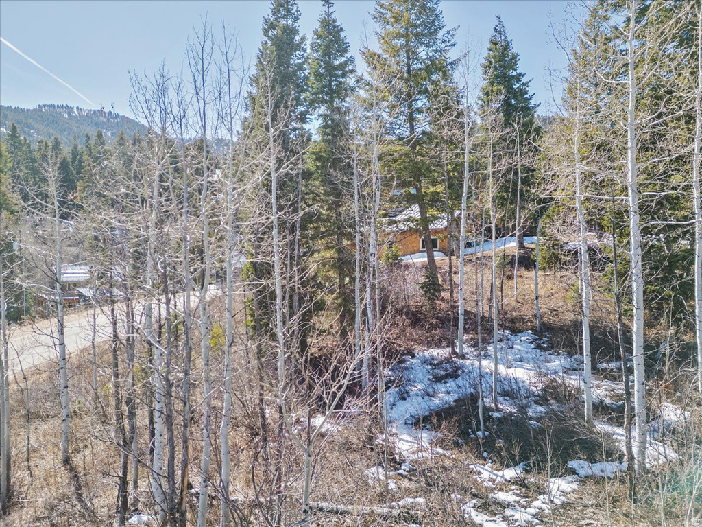 390  WOODLAND DR Summit Park, UT 84098