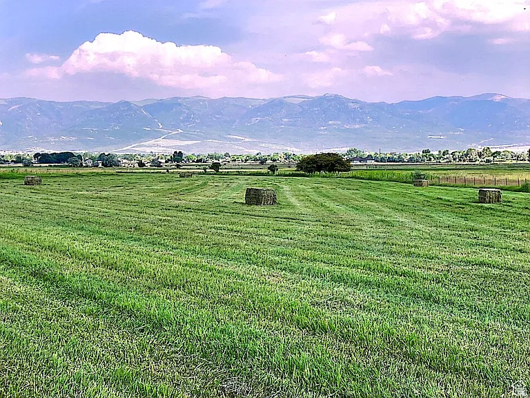 19600 N 8250 E Mt Pleasant, UT 84647