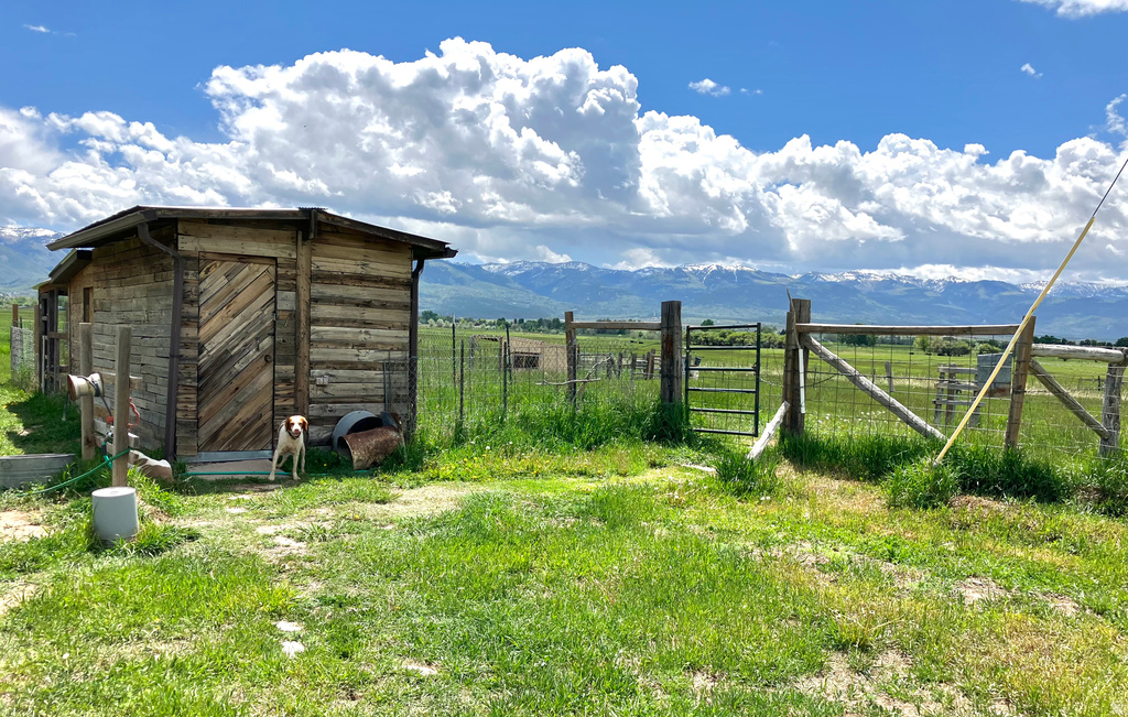 19600 N 8250 E Mt Pleasant, UT 84647