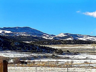 19600 N 8250 E Mt Pleasant, UT 84647