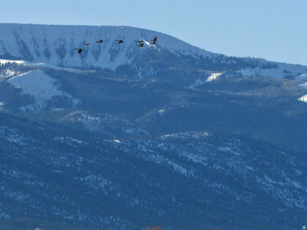 19600 N 8250 E Mt Pleasant, UT 84647