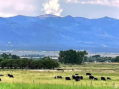 19600 N 8250 E Mt Pleasant, UT 84647