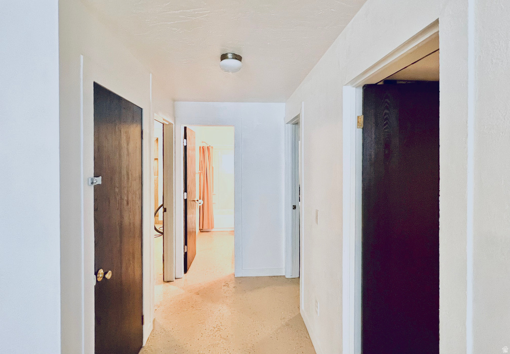 19600 N 8250 E Mt Pleasant, UT 84647