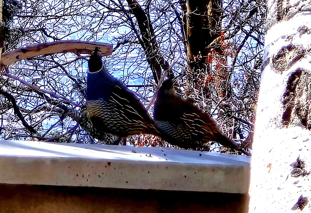 850 S DONNER WAY #300 Salt Lake City, UT 84108