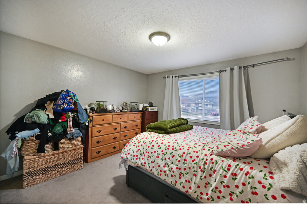 178 RIVERWALK CIR Logan, UT 84321