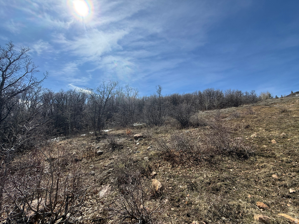 17  CALAMITY DR Fish Haven, ID 83287