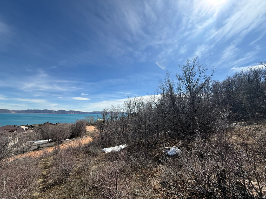 17  CALAMITY DR Fish Haven, ID 83287