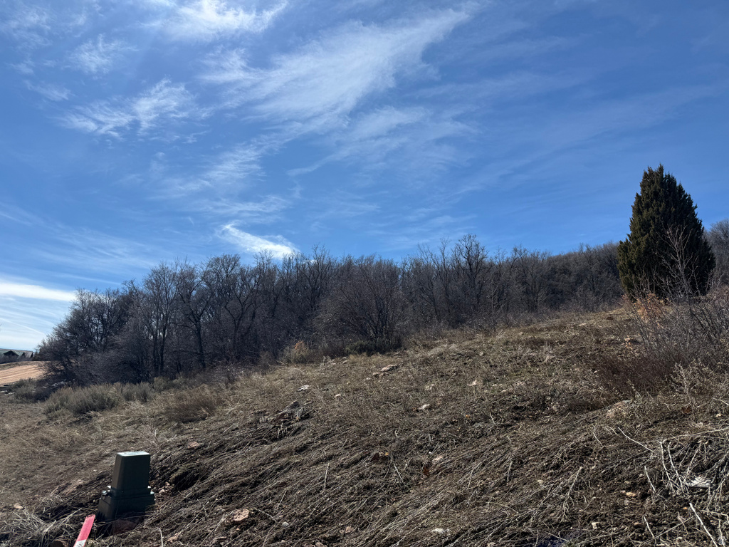 17  CALAMITY DR Fish Haven, ID 83287