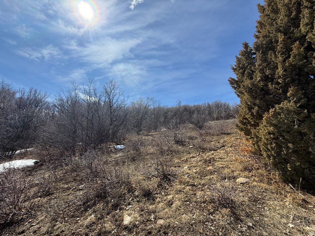 17  CALAMITY DR Fish Haven, ID 83287