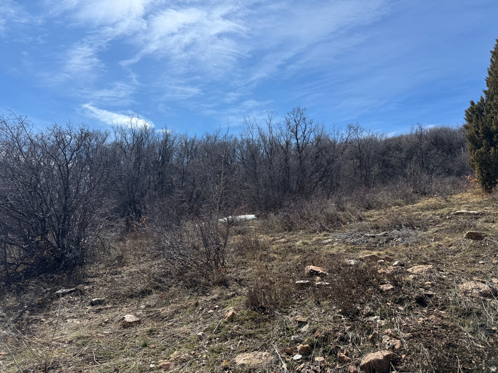 17  CALAMITY DR Fish Haven, ID 83287