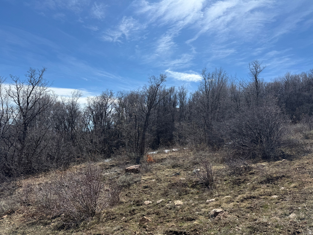 17  CALAMITY DR Fish Haven, ID 83287